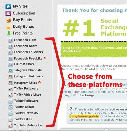 Choose platform on addmefast